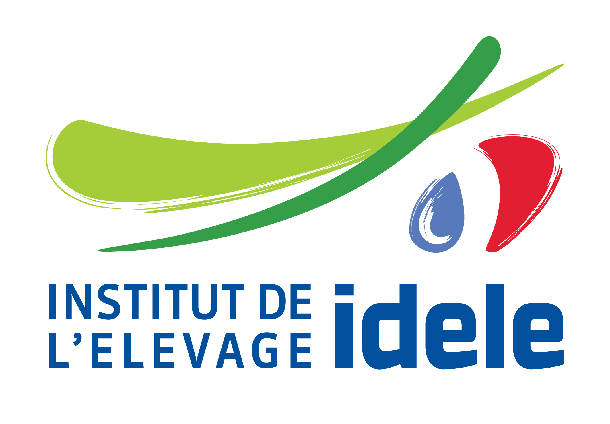 logo-idele